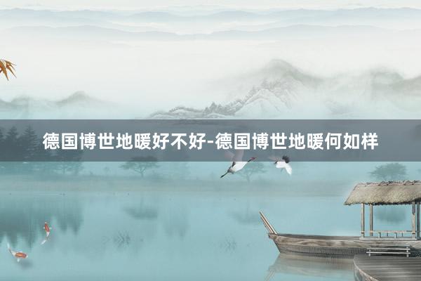 德国博世地暖好不好-德国博世地暖何如样