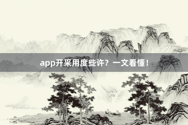 app开采用度些许？一文看懂！